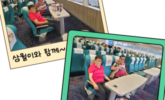 산타모니카 펫 프리미엄 존