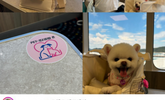 산타모니카 펫 프리미엄석 후기를 부탁해 ! !