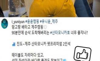 펫 프리미엄석 생생한 이용후기