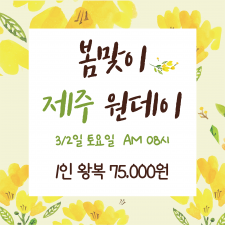 봄맞이 제주 원데이 투어