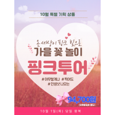 가을 꽃 놀이