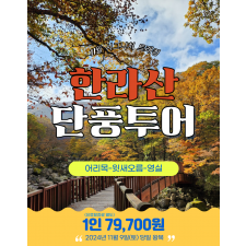 한라산 단풍투어