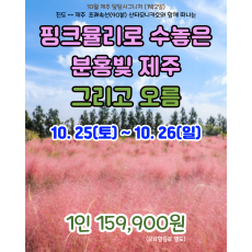 핑크뮬리로 수놓은 분홍빛 제주 그리고 오름