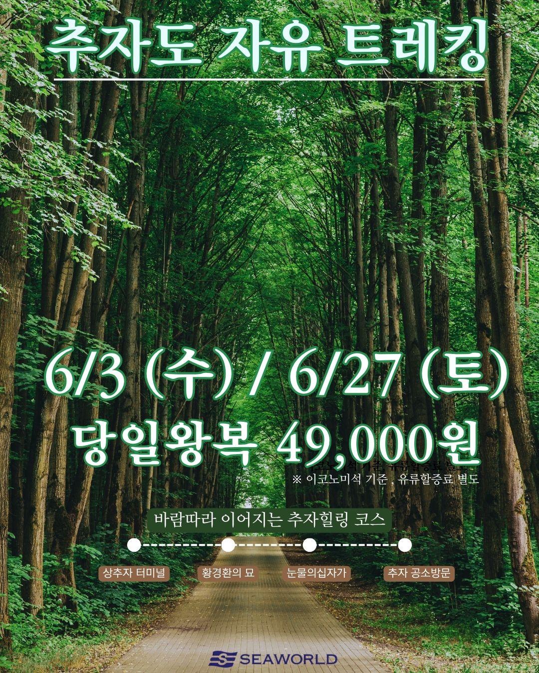 6월 추자도 자유 트레킹