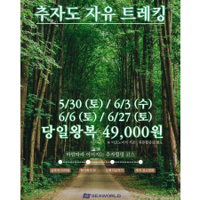 6월 추자도 자유 트레킹