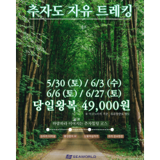 6월 추자도 자유 트레킹