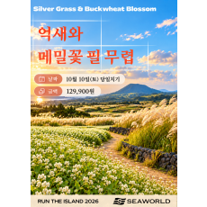 억새와 메밀꽃 필 무렵